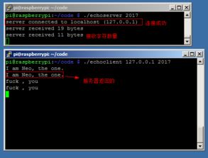 深入理解计算机系统 网络编程的核心原理与实践