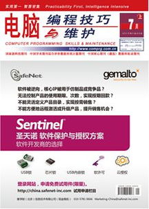 电脑编程技巧与维护 提升效率与保障稳定性的双翼