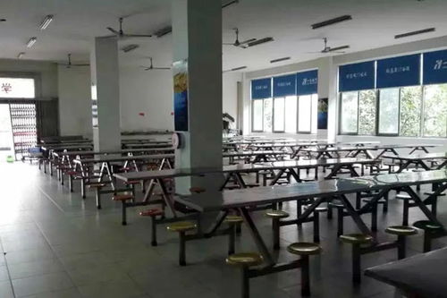 长沙IT课程招生 计算机编程培训的可信度解析